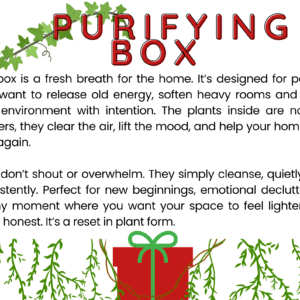 PURIFYING BOX