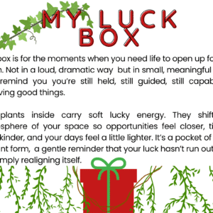 MY LUCK BOX