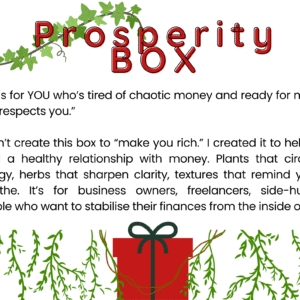 THE PROSPERITY BOX