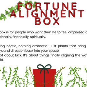 FORTUNE ALIGNMENT BOX